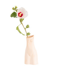 Elegant body shaped vase with one fresh hibiscus flower on a white background isolated. Home decor element.