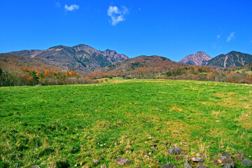 Obraz premium 牧場から眺める八ヶ岳(八ヶ岳横断歩道トレイルコース)