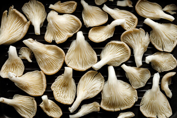 Fresh oyster mushrooms on a grill plate, top view