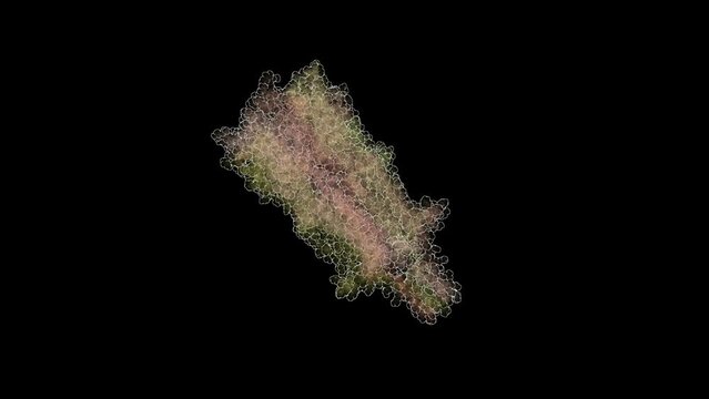 3D structure of alpha-7 nicotinic acetylcholine receptor bound to epibatidine in a desensitized state. The &alpha;7 nicotinic acetylcholine receptor plays critical roles in the central nervous system.