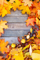 Autumn foliage on wooden planks. Colorful forest fruits on wooden boards. Nature decoration for...