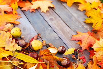 Autumn foliage on weathered wooden planks. Colorful forest fruits on wooden table. Nature...