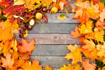 Autumn foliage on weathered wooden planks. Colorful forest fruits on wooden table. Nature...