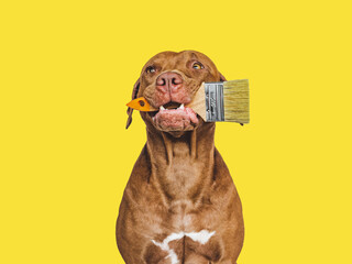 Lovable, pretty puppy and painting tools. Close-up, indoors. Studio photo. Concept of care,...