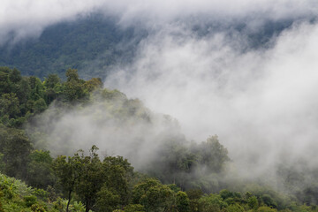Fog in the morning forest with green mountains at Huai Kub Kab, Mae Taeng, Chiang Mai, Thailand.