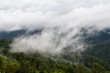 Fog in the morning forest with green mountains at Huai Kub Kab, Mae Taeng, Chiang Mai, Thailand.