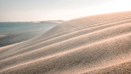 Desert in Qatar, golden dunes and sea-line landscape during sunset