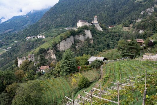 Schloss Tirol  und die tiefer gelegene Brunnen Burg in mitten von Weinbergen bei Dorf Tirol im Vinschgau - Bei Meran im Vinschgau