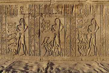 Beautiful offering scenes carved on walls of Kom Ombo temple, Aswan, Egypt 