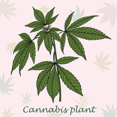 Simplicity cannabis plant freehand drawing flat design.