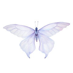 Watercolor illustration of tender blue-violet butterfly