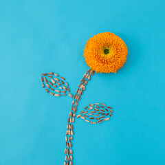 Sunflower made from flower and sunflower seeds on pastel blue background. Creative flat lay.