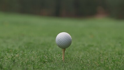 ECU Close up golf ball standing on the turf