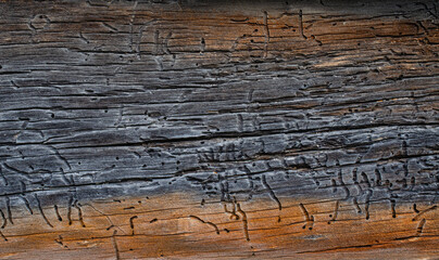 Naklejka premium wooden background pattern for crafts or abstract art texture