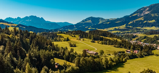 Beautiful alpine summer view with the famous Wilder Kaiser mountains in the background at Fieberbrunn, Tyrol, Austria