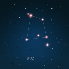 Obraz na płótnie Canvas Constellation Corvus on the background of starry sky. Constellation scheme collection Vector illustration 