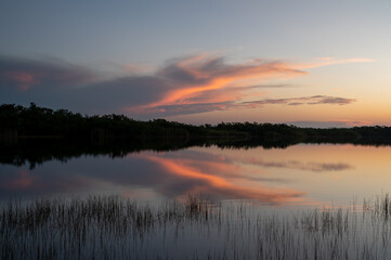 Obraz na płótnie Canvas Colorful sunrise over Nine Mile Pond in Everglades National Park, Florida.