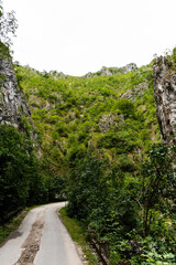 Fototapeta na wymiar Sohodol Gorges (Cheile Sohodolului) in the Valcan mountains, Gorj county, Romania.