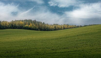 green hills with forest in the background 