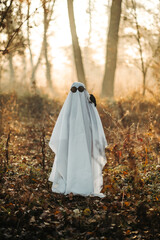 A ghost covered with a white ghostly leaf wearing a hat in the forest for Halloween. Halloween...