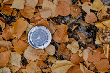 Compass lying in yellow autumn foliage.Concept recreation, travel, and tourism.