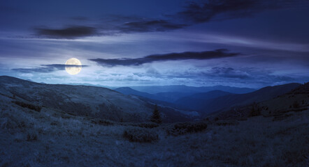 Naklejka premium panoramic view in to valley. stunning landscape of carpathian mountains at night in summer. forested hills and grassy meadows beneath a bright blue sky in full moon light