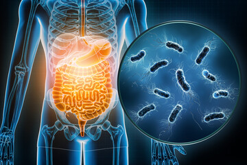 Bacterial infection of the gastrointestinal tract 3D rendering illustration. Escherichia Coli or E. Coli infectious disease, anatomy, medical, biology, science, healthcare concepts.
