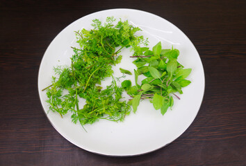 Fototapeta premium Coriander and mint leaves are nicely arranged on the plate