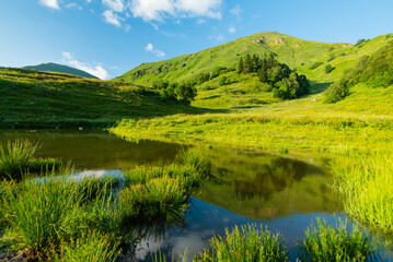 Lake melting glacier. Mountain clear water green fields. Tall grass growing.
