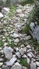 Calzada romana de Caoru 