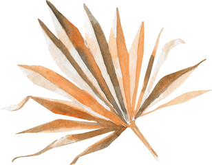 Watercolor dried palm illustration. Boho realistic leaves,leaf,stem drawing,dried flowers. Tropical,exotic floral element for frame,wreath, border,bouquet, bohemian wedding card,invite, stationery,diy