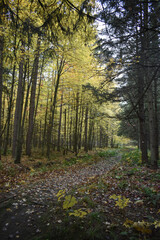 Obraz premium La Plaine 9 Octobre 2022