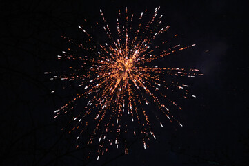 Huge fireworks explosions with all colors over a party in the park. In front of the black night sky