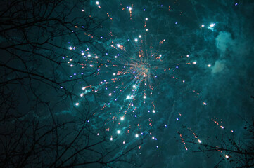 Huge fireworks explosions with all colors over a party in the park. In front of the black night sky
