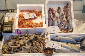Fresh prawn (shrimp) and fish of Aegean sea