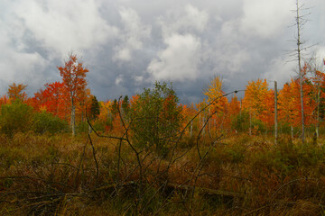 La Plaine 9 Octobre 2022