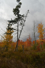 La Plaine 9 Octobre 2022