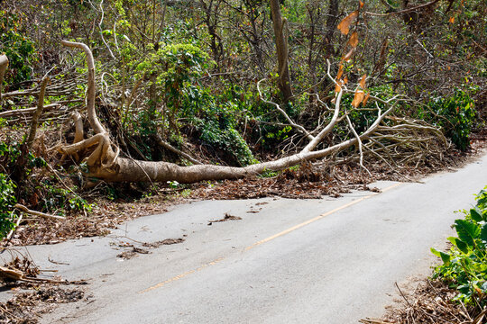 Consequences of Hurricane Fiona. Dominican Republic. Punta Cana.