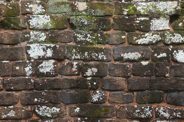 old brick wall with moss