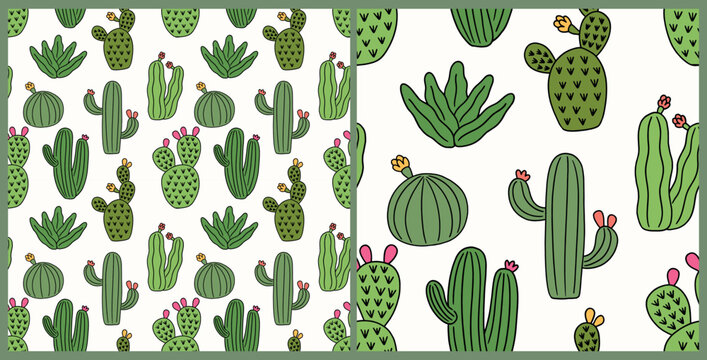 Cactus Cute Seamless Pattern Vector Hand-Drawn Illustration Succulent Plant Boho Nursery