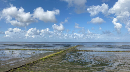 Lahnungs for land reclamation and coastal protection on the island of Sylt