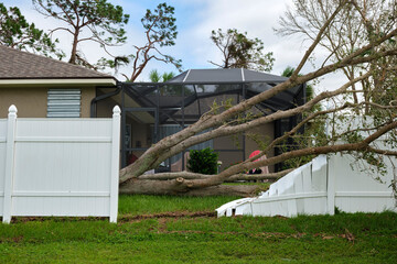 Fallen down big tree caused damage of yard fence after hurricane Ian in Florida. Consequences of...
