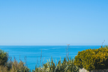 View ob black clue bright sea and green plants as relaxing bright summer exotic tropical background with copy free space for text