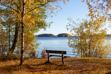 Autumnal scenery on the lake shore with empty bench.