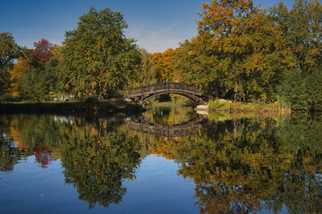 Fototapeta na wymiar Romantische Holz Brücke am Teich in Johanna Park, Ufer mit Schilf, Leipzig, Sachsen, Deutschland