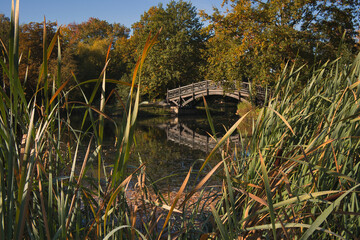 Romantische Holz Brücke am Teich in Johanna Park, Ufer mit Schilf, Leipzig, Sachsen, Deutschland