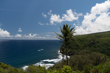 Fototapeta na wymiar Lookout over Pololu Point with Pacific horizon in the background