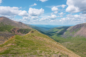 Scenic view from mountain ridge to green forest valley among mountain ranges and hills on horizon at changeable weather. Green landscape with sunlit mountain vastness under cumulus clouds in blue sky.