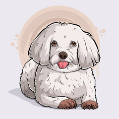 Hand drawn cute dog bread Maltese lying in full length isolated on white background