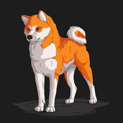 Hand drawn powerful dog breed Shiba Inu standing in full length isolated on black background